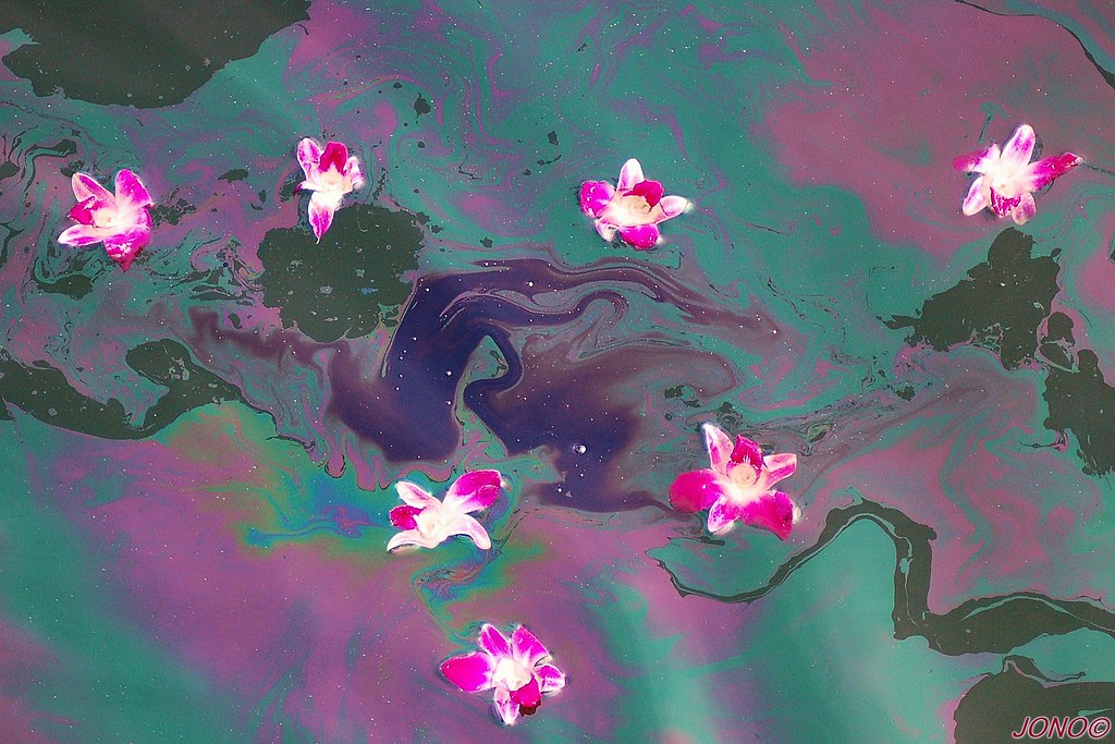 2829497650_779483319d_b.jpg