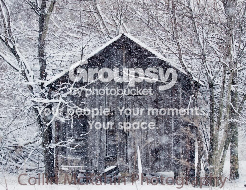 Snowshack2.jpg