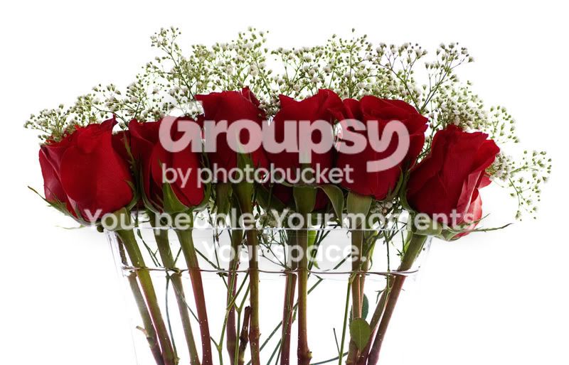 babybreath3.jpg