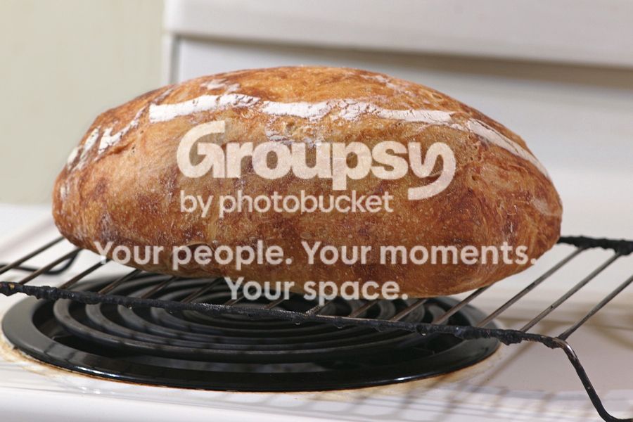 Loafonrack.jpg