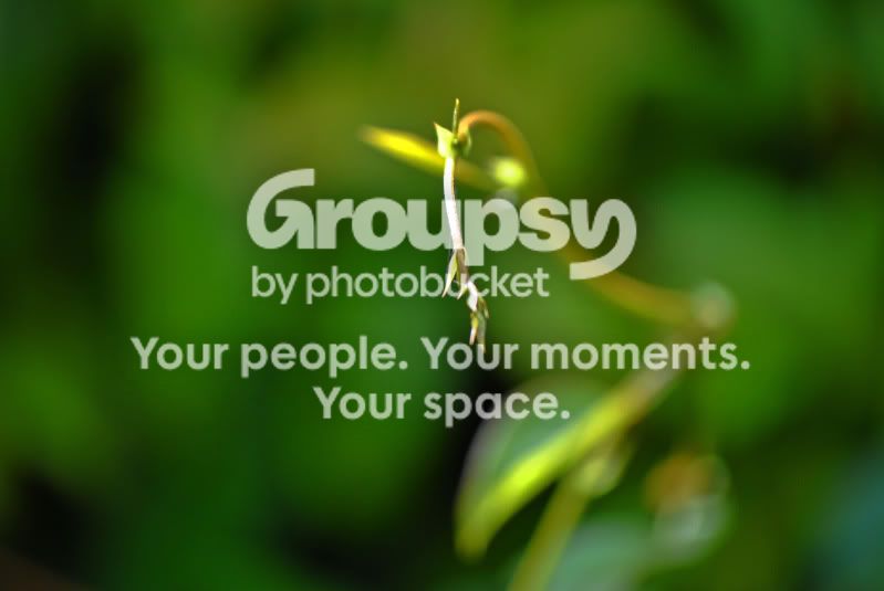 photoshop005two-1.jpg