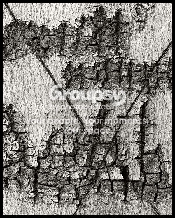 bark012613_zpsb4f14ef2.jpg