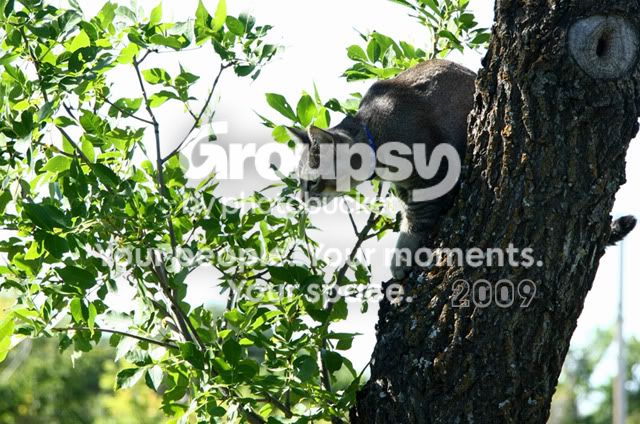 IMG_5730ccopy.jpg