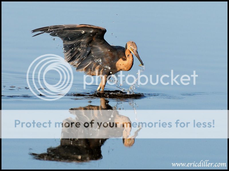 PIC_9635copy.jpg