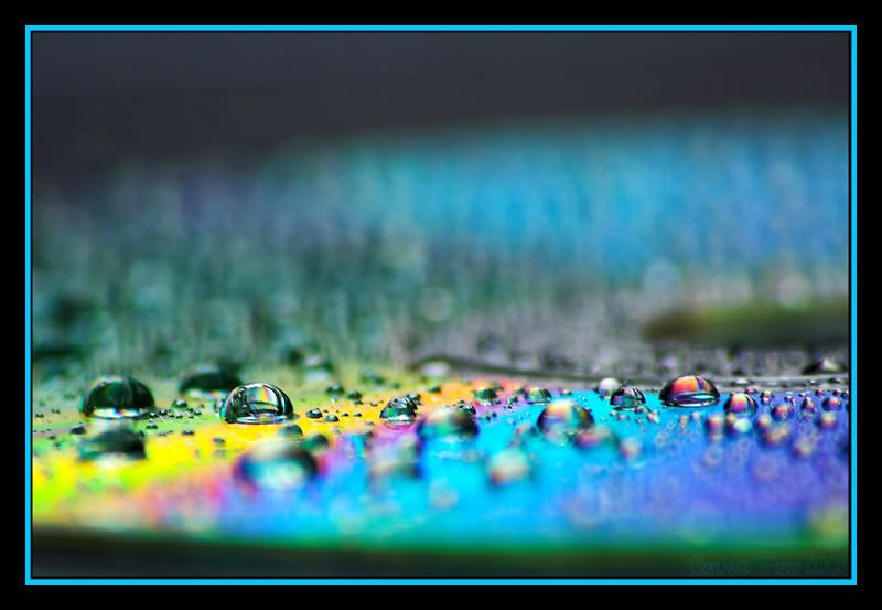 CD-droplet-colours_04.jpg