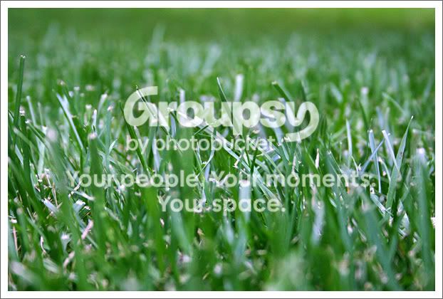 grasswith300d.jpg