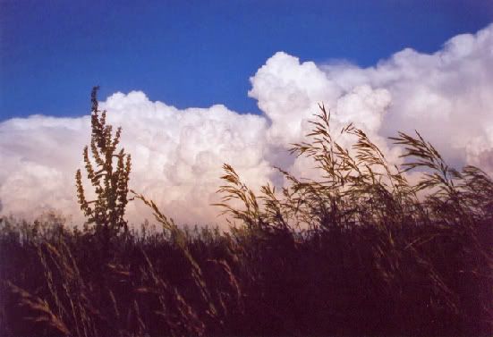 wall_of_clouds1EDIT.jpg