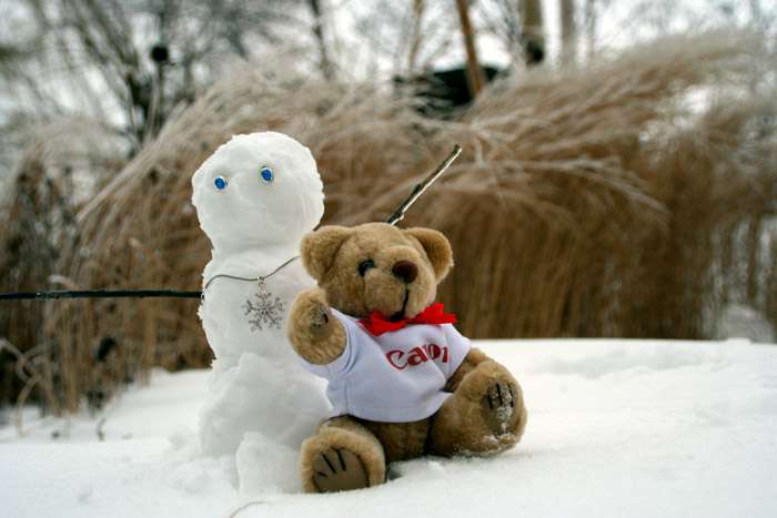 img0022psrsrj9.jpg