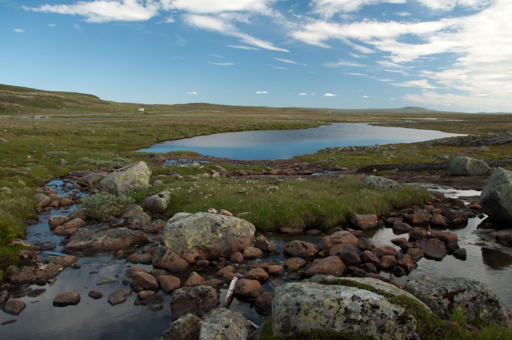 20100727_170038-2.jpg