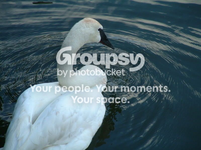 DSCF2729.jpg