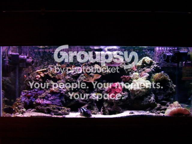 100_0920.jpg