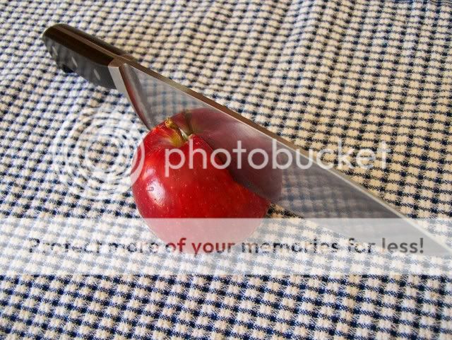 100_5102tool.jpg