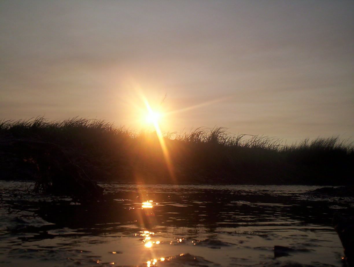 000_2498.jpg
