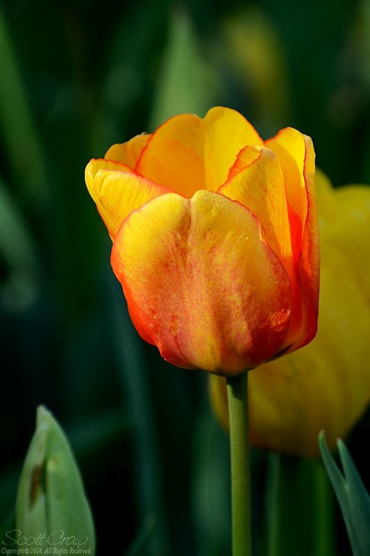 2014-04-12-16.jpg