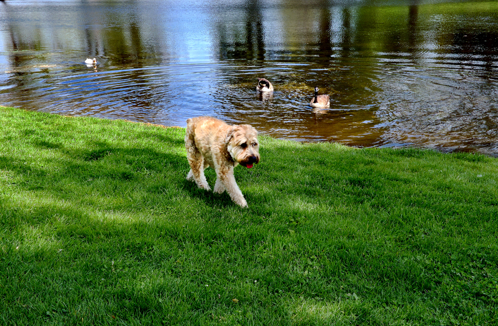 DSCF2649.jpg