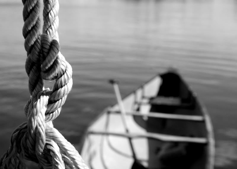 IMG_5298bw.jpg