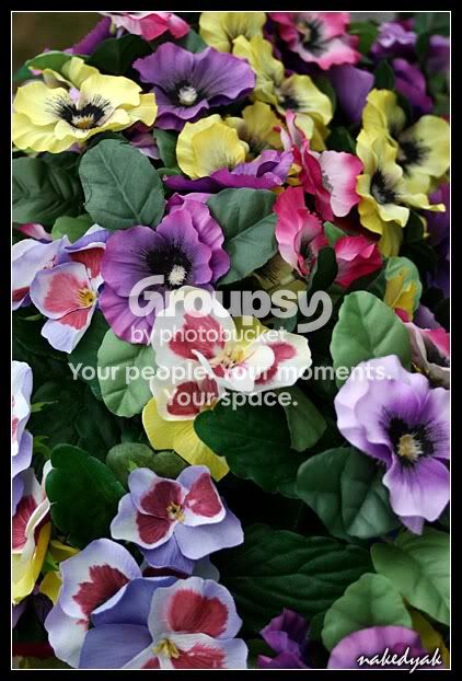 cemetaryflowers4.jpg