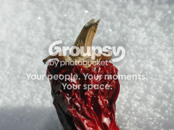 SnowPepper01.jpg