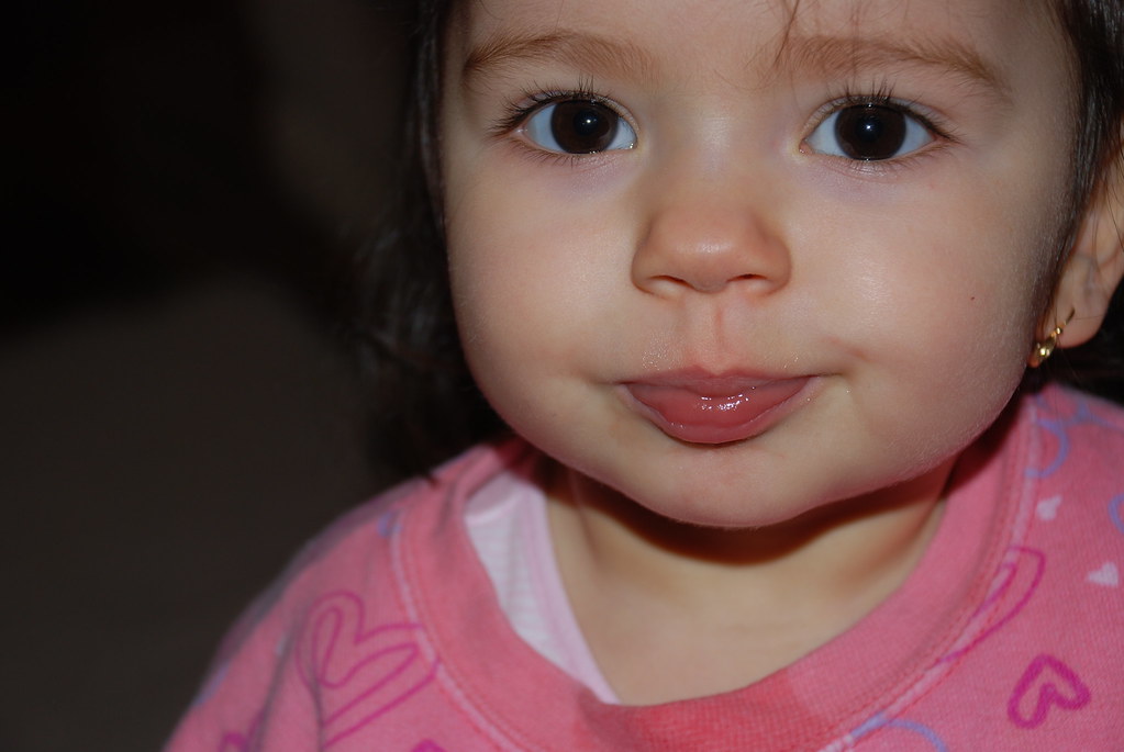 2343720132_42a80d8c4c_b.jpg