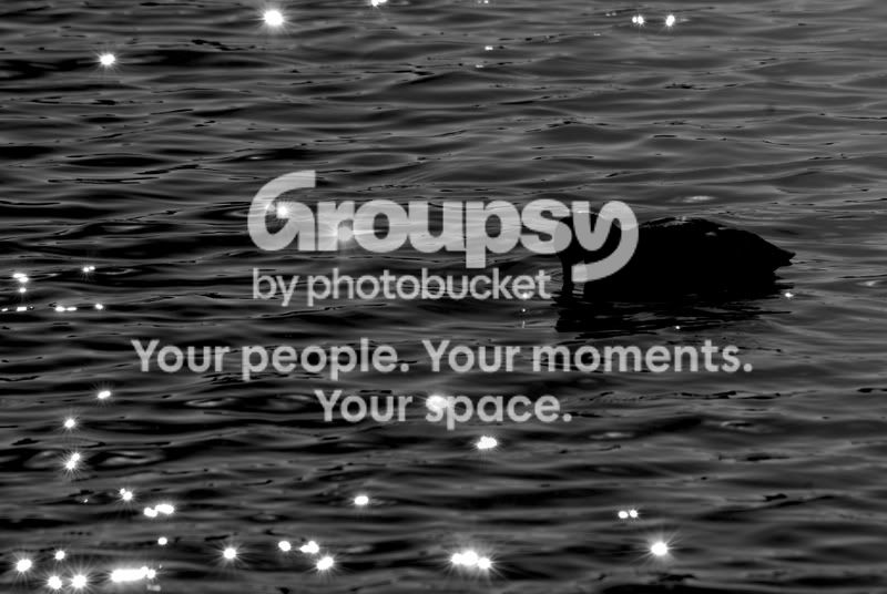 PIC_8186bw.jpg