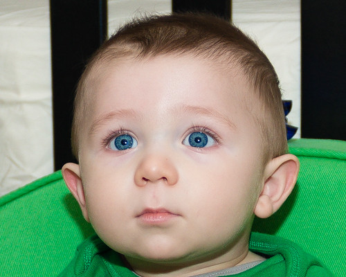 8374555583_dc081350cd.jpg