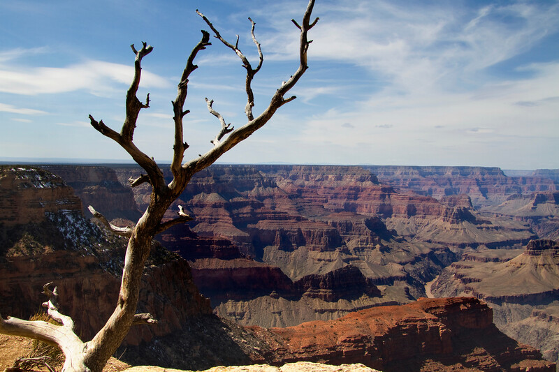 IMG42982-L.jpg