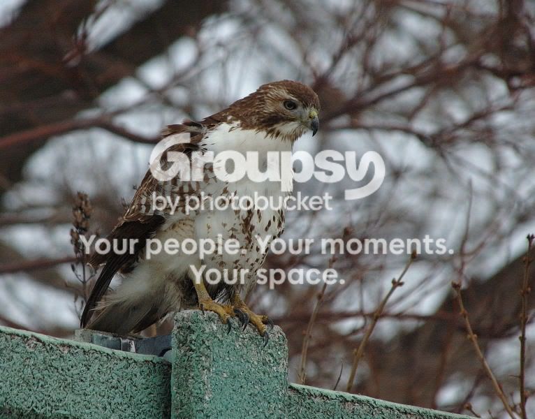 DSC_22490155websize.jpg