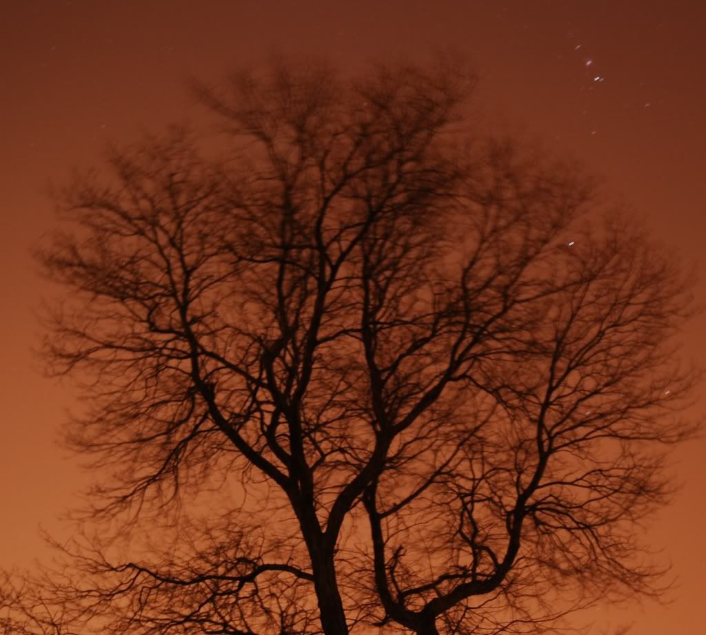 D40X0892-1.jpg