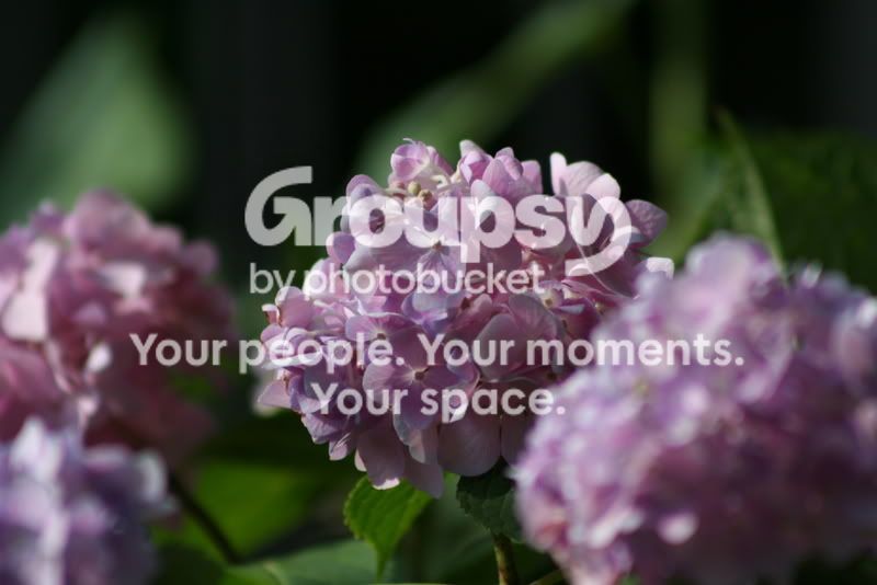 IMG_3535_1.jpg