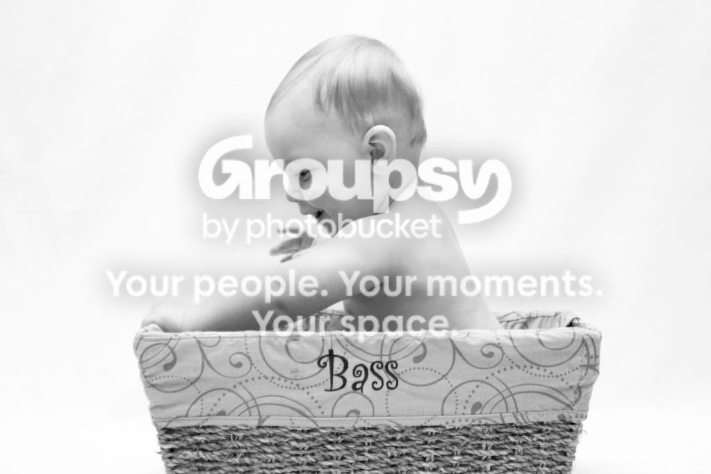 BassBasket4.jpg