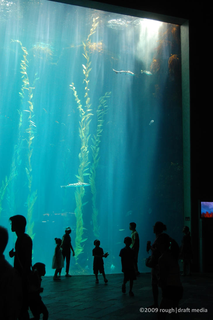 big_aquarium_by_dkao-d26hv9z.jpg