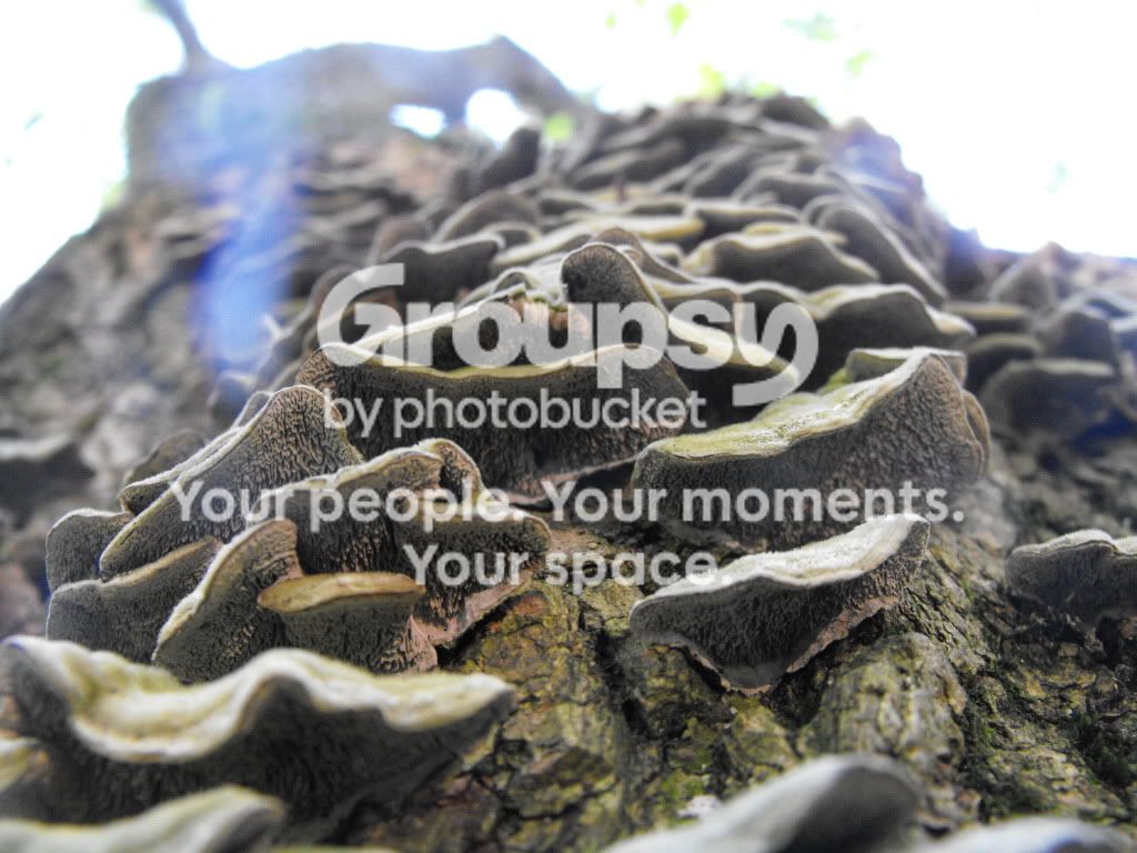 june122009457107.jpg