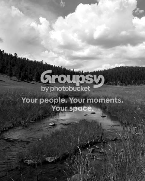 bwcreek4share.jpg