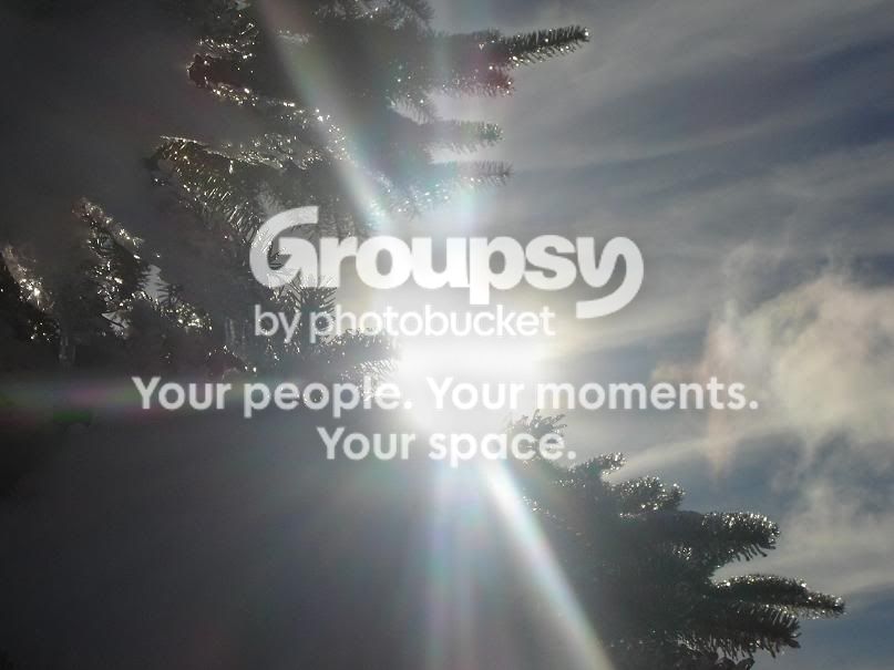 winterwonderland032.jpg