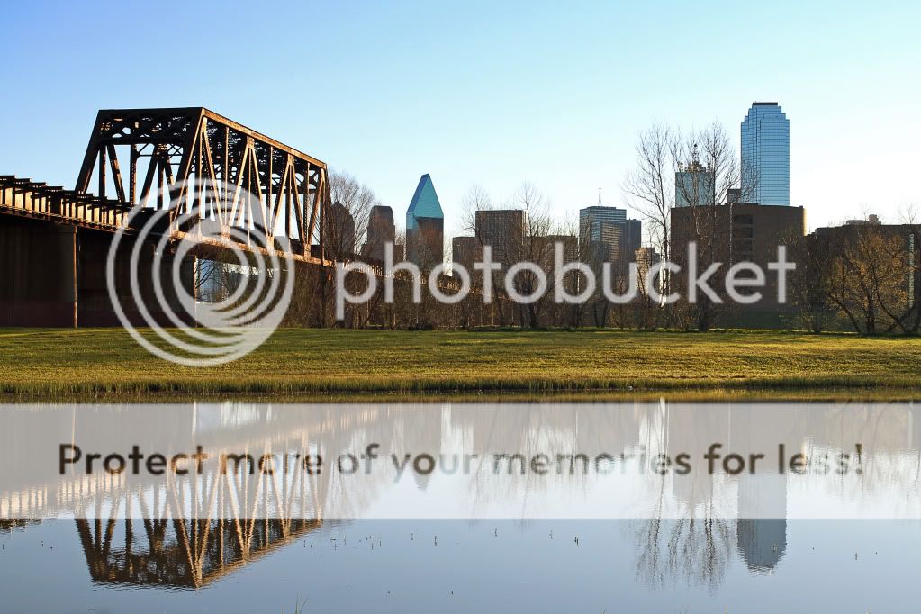 7dandnikon10.jpg