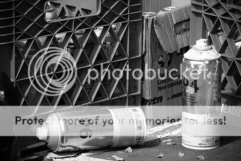 _MG_2762.jpg
