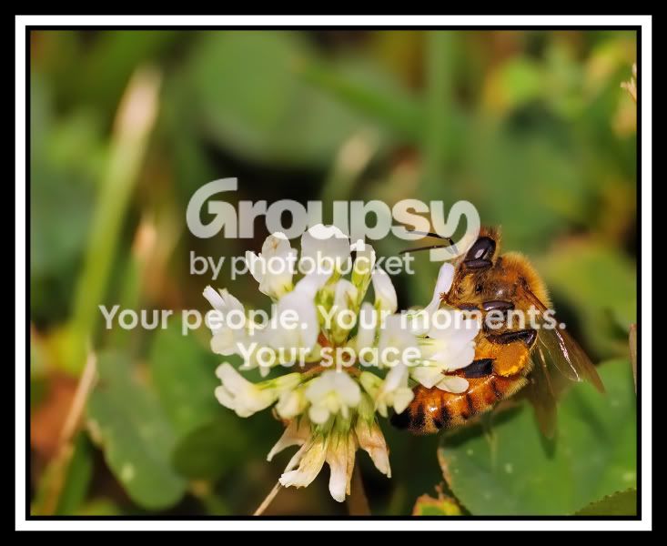 2008-07-19_26web.jpg