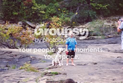 Candid_Camera_by_PrecociousEmber.jpg