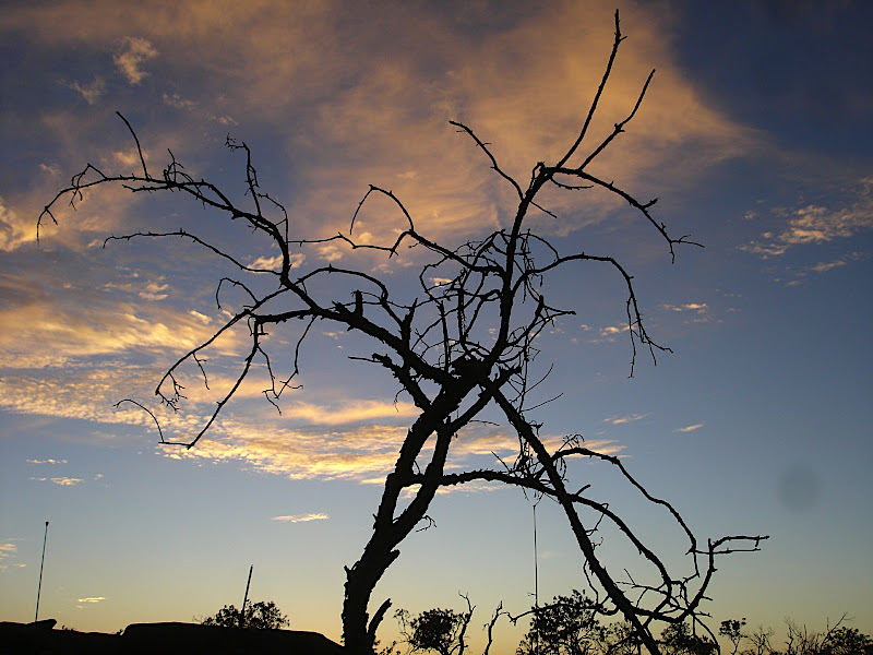 080228e.JPG.jpg