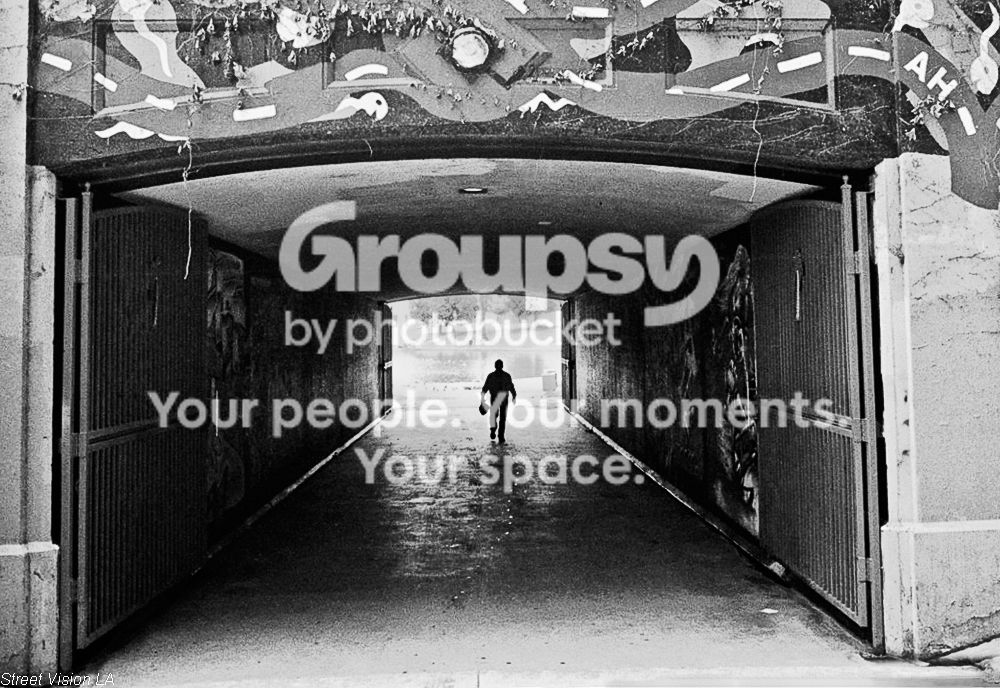 IlfordXP-225.jpg