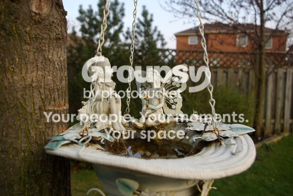 Copyofangelbirdfeeder.jpg
