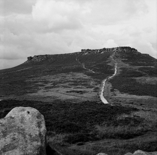 img259-L.jpg
