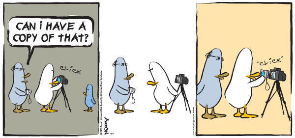 WTD109SUN.gif