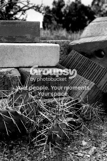bricks.jpg