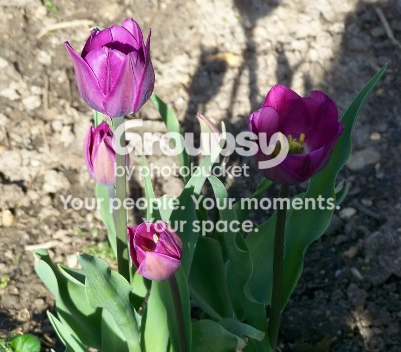 outdoor2017.jpg