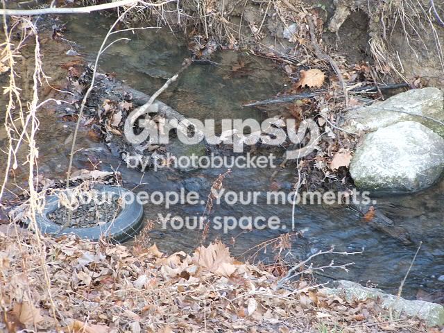 DSCF0894.jpg