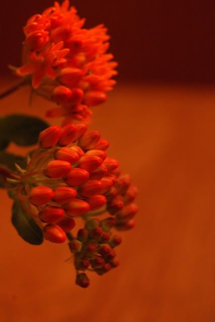 flowerontable0001.jpg