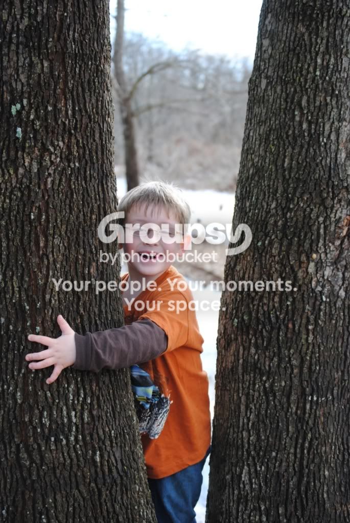 BentleyTree.jpg