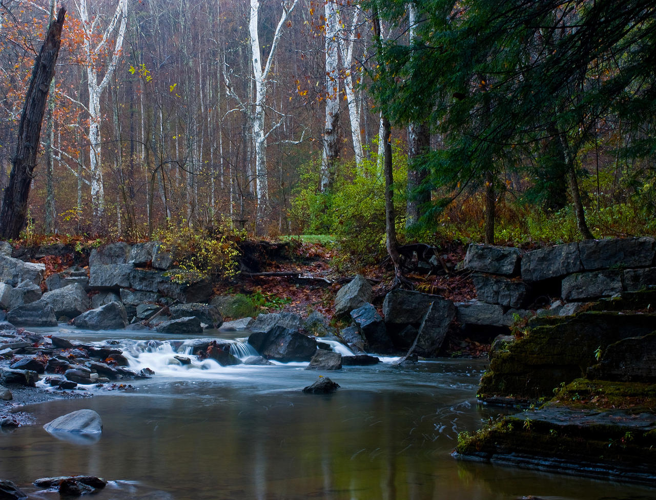 Treman_State_Park_Stream_by_sideways_8.jpg