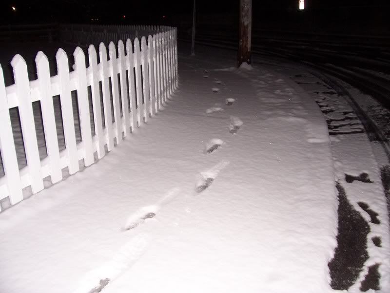 Mylonelyfootsteps.jpg